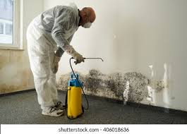 Why You Should Choose Our Mold Remediation Services in Bono, AR